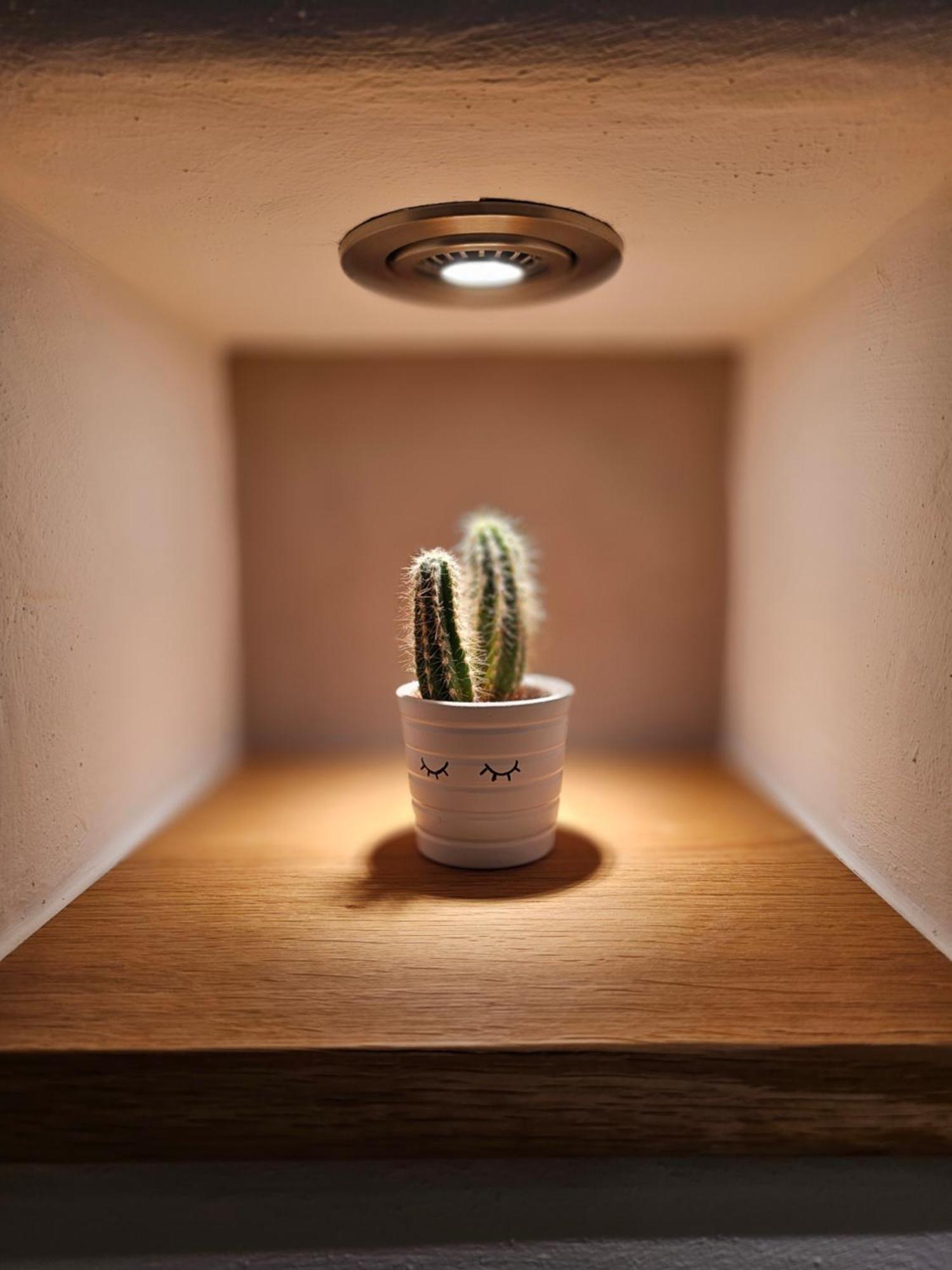 Ferienapartment Wilma Grunsfeld Экстерьер фото